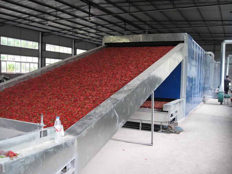 椰蓉專(zhuān)用帶式干燥機(jī)